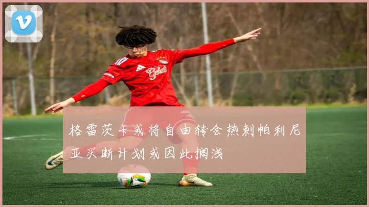 格雷茨卡或将自由转会热刺帕利尼亚买断计划或因此搁浅