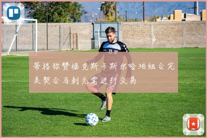 蒂格称赞福克斯卡斯尔哈珀组合完美契合马刺无需进行交易